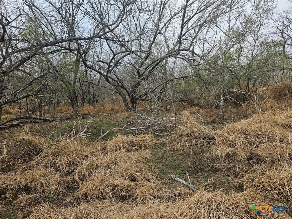 6 acres in Wilson County - photo 8