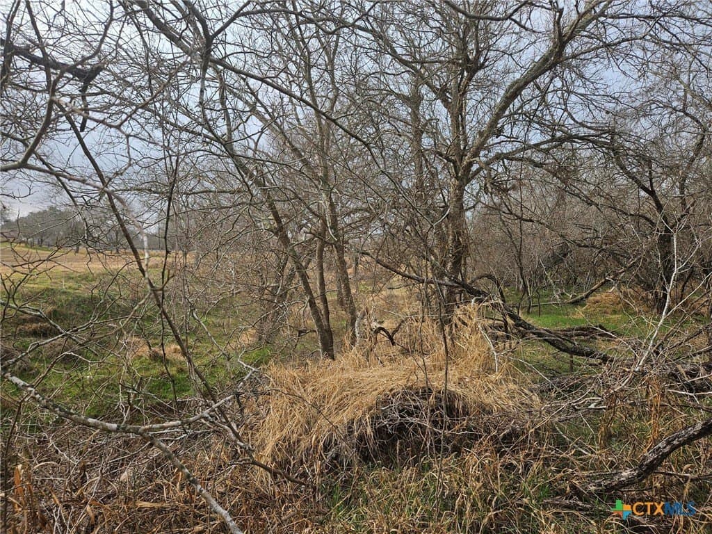 6 acres in Wilson County - photo 11