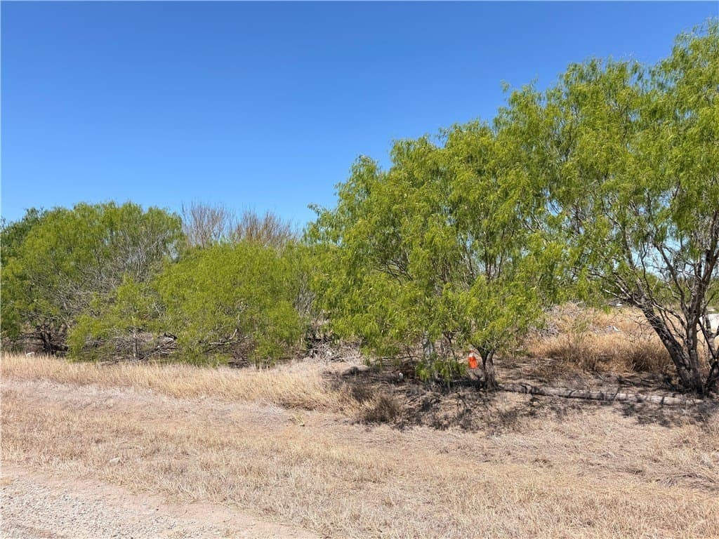 La Paloma Drive lot: 0