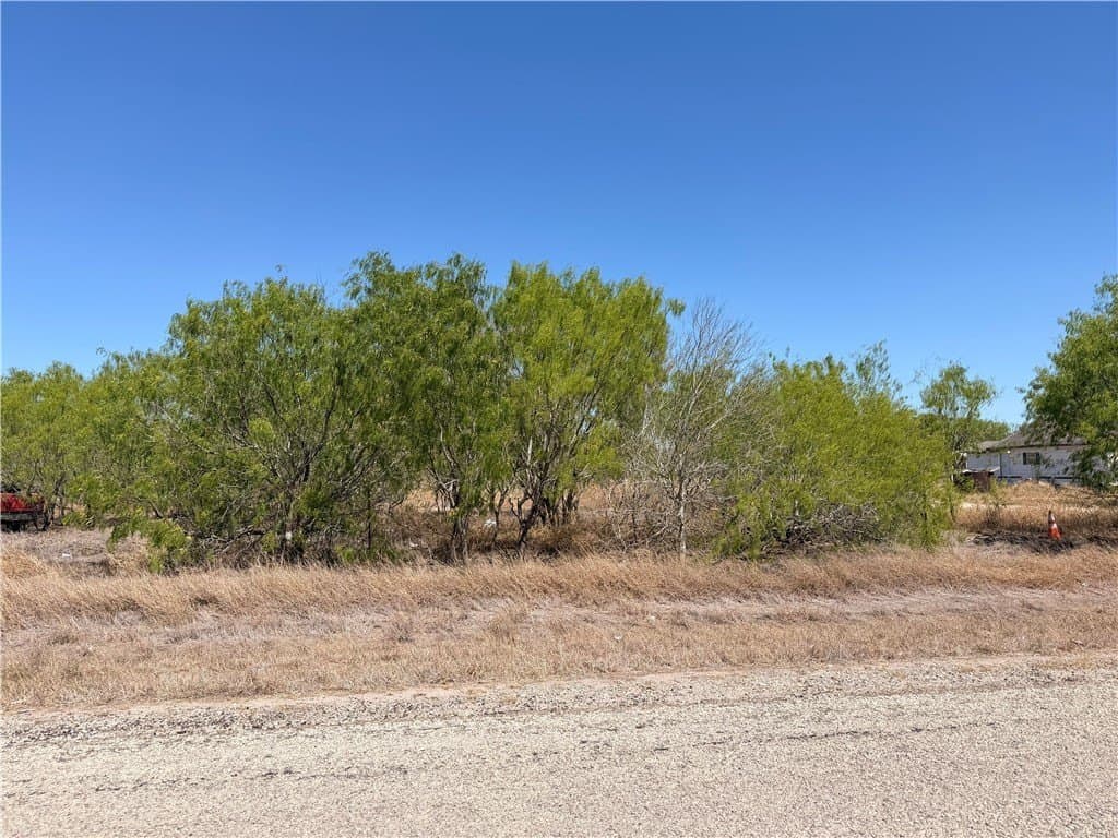 5.01 acres in Nueces County - photo 2