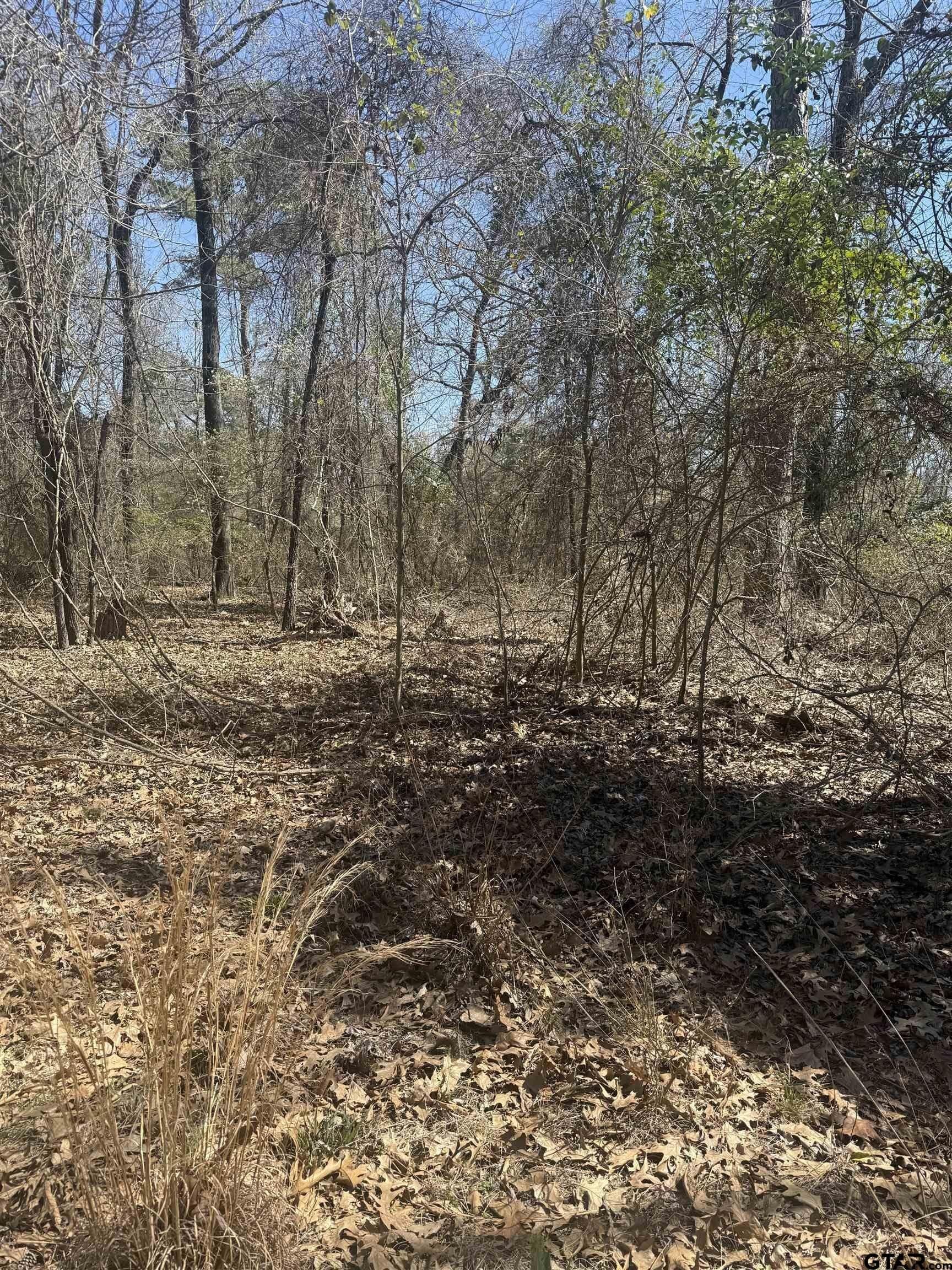 0.42 acres in Franklin County - photo 2