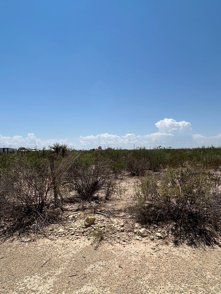 7.31 acres in Pecos County - photo 4