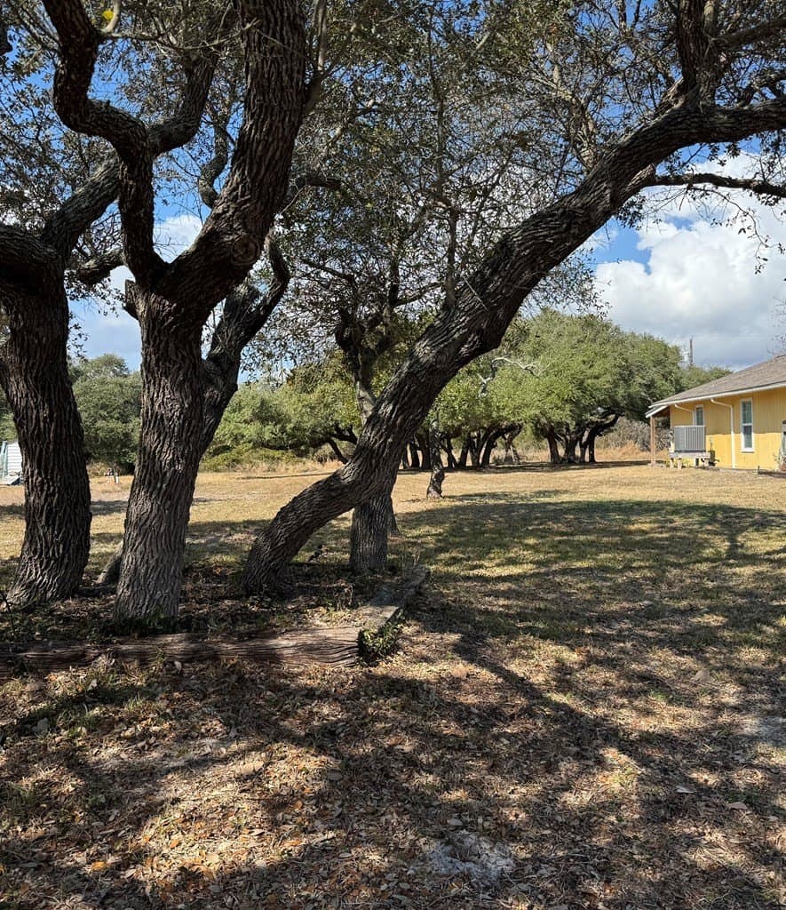 0 acres in Texas County - photo 2