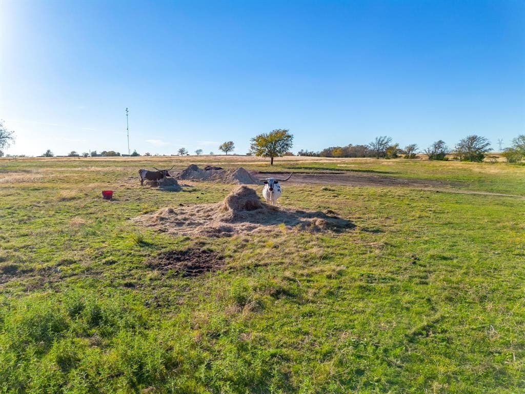 29 acres in Wise County - photo 11