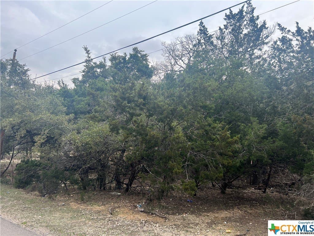 0.28 acres in Comal County - photo 5