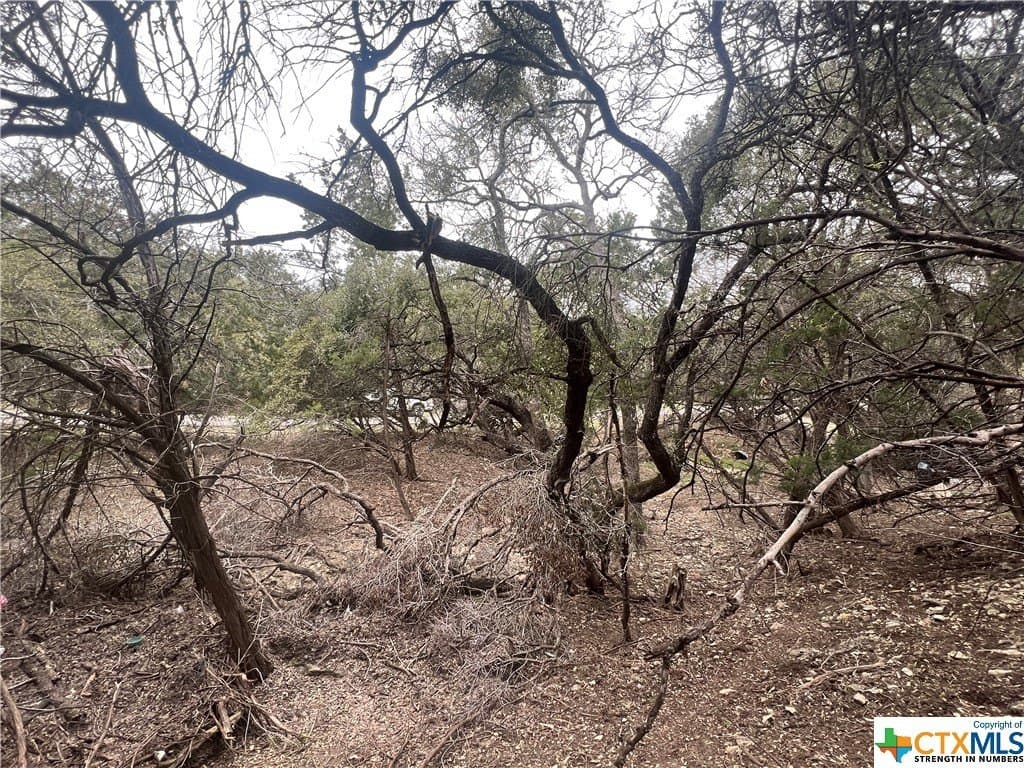 0.28 acres in Comal County - photo 3