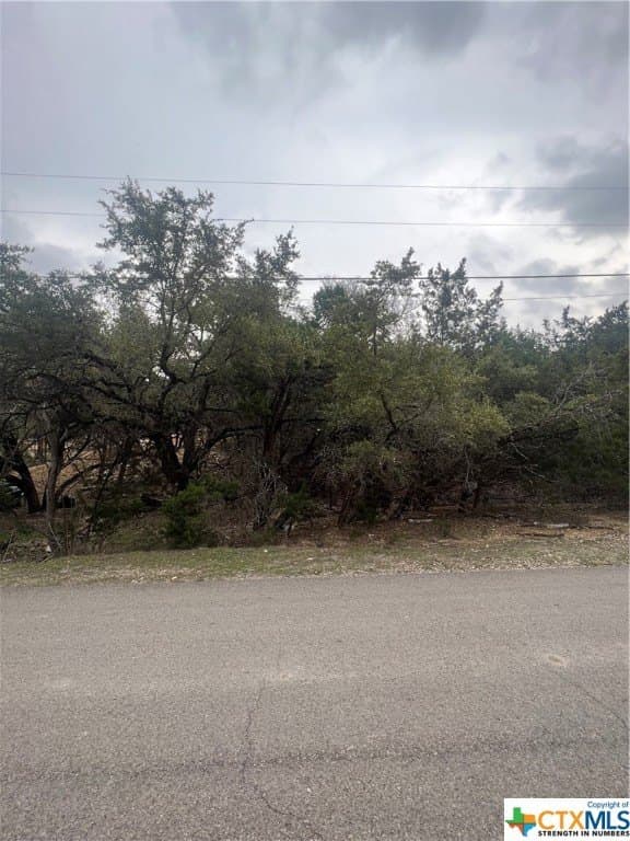 0.28 acres in Comal County - photo 2