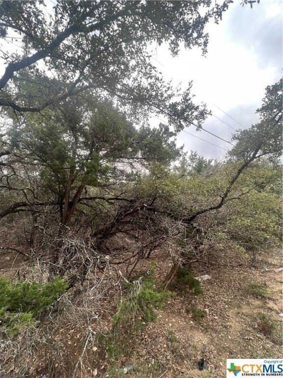 0.28 acres in Comal County - photo 4