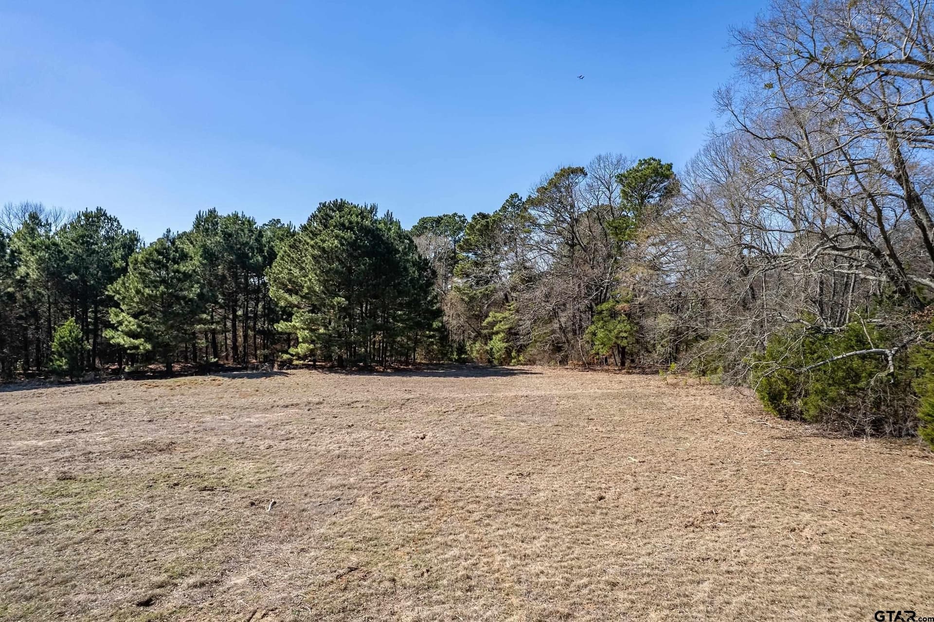 143.68 acres in Smith County - photo 10