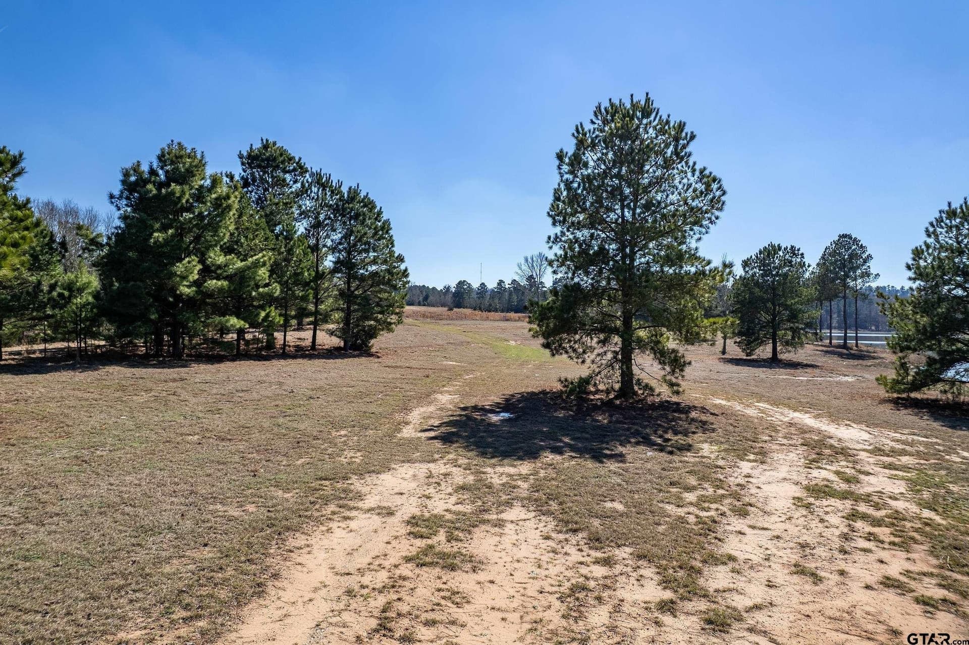 143.68 acres in Smith County - photo 11