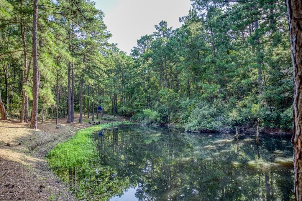 29.7 acres in ANDERSON County - photo 49
