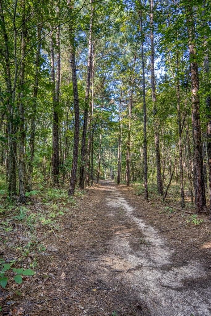 29.7 acres in ANDERSON County - photo 39
