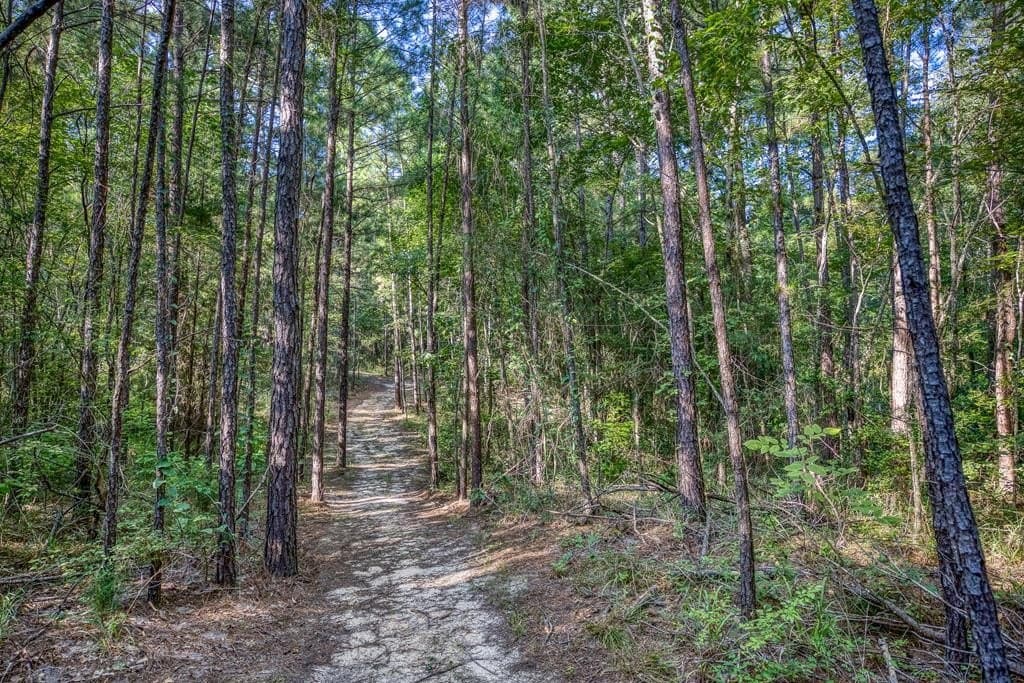 29.7 acres in ANDERSON County - photo 40