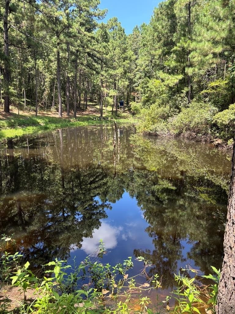 29.7 acres in ANDERSON County - photo 48