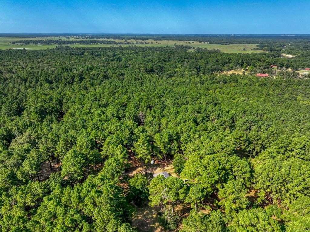 29.7 acres in ANDERSON County - photo 57