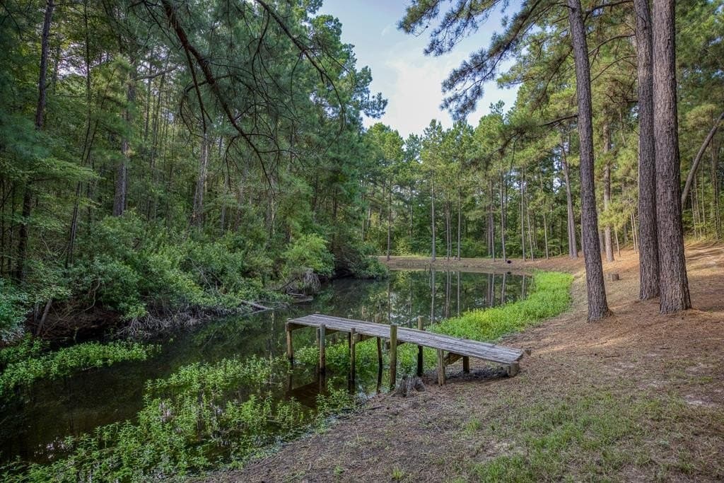 29.7 acres in ANDERSON County - photo 50