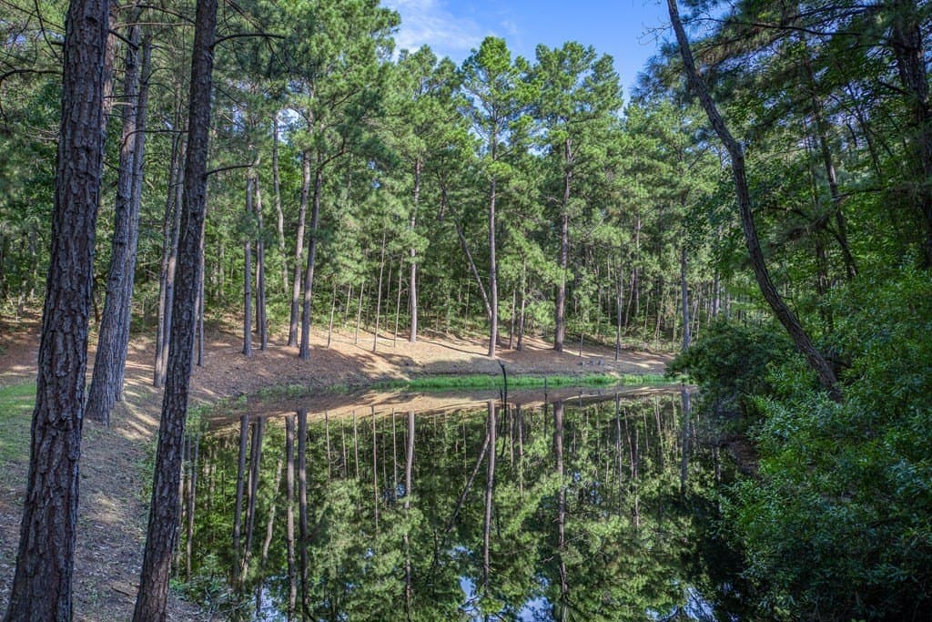 29.7 acres in ANDERSON County - photo 6