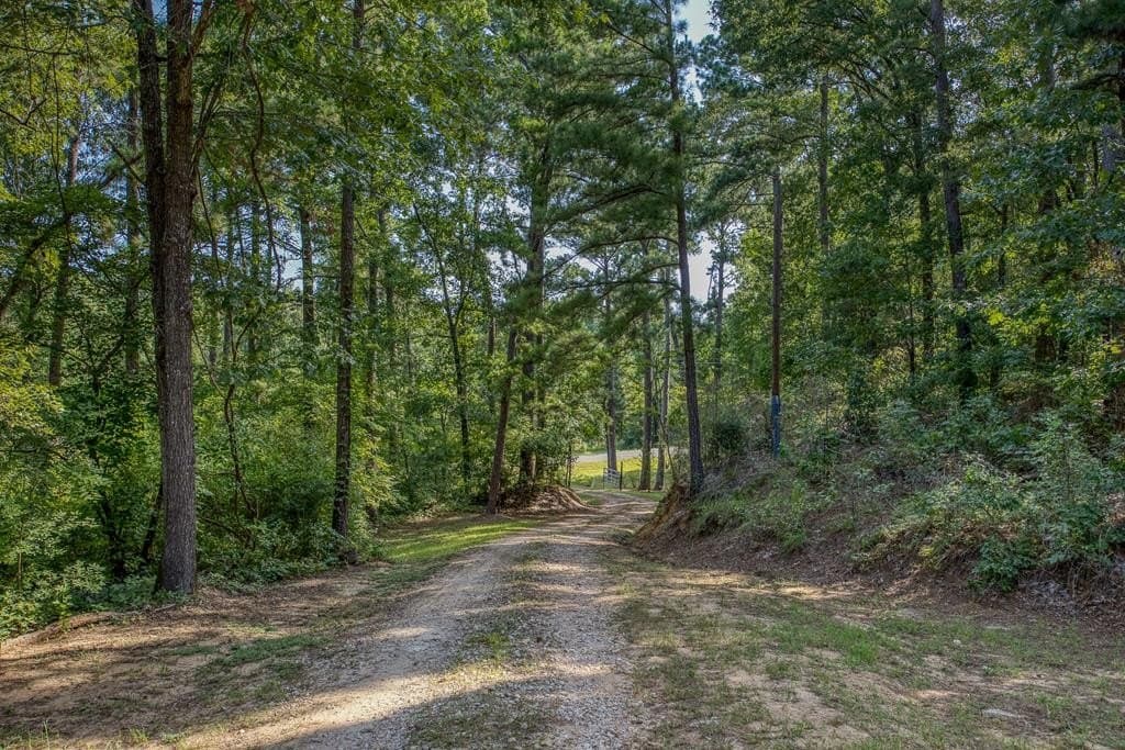 29.7 acres in ANDERSON County - photo 3