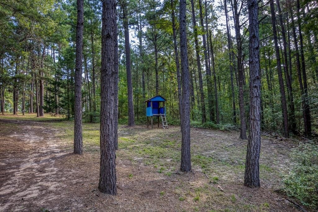 29.7 acres in ANDERSON County - photo 51