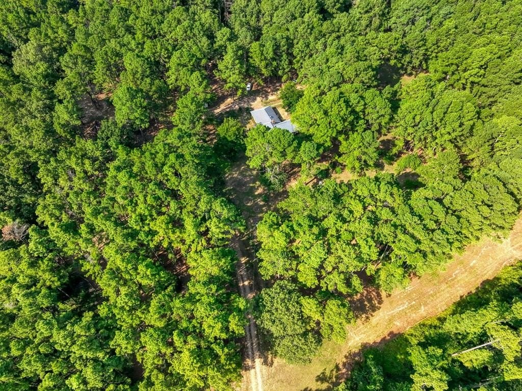 29.7 acres in ANDERSON County - photo 5