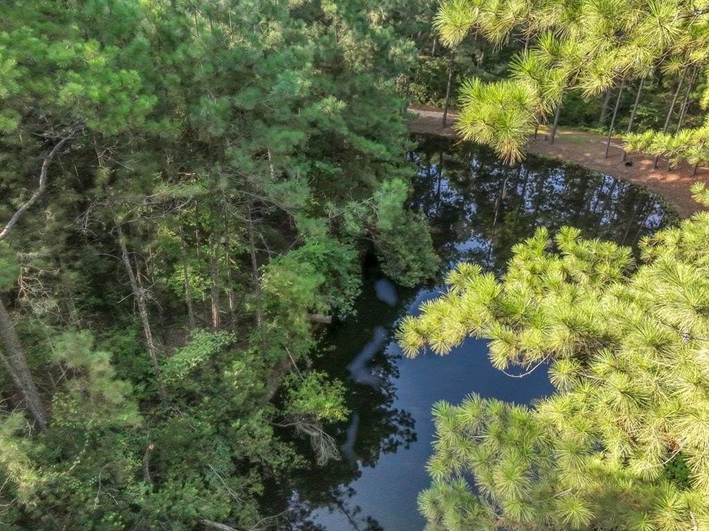 29.7 acres in ANDERSON County - photo 52