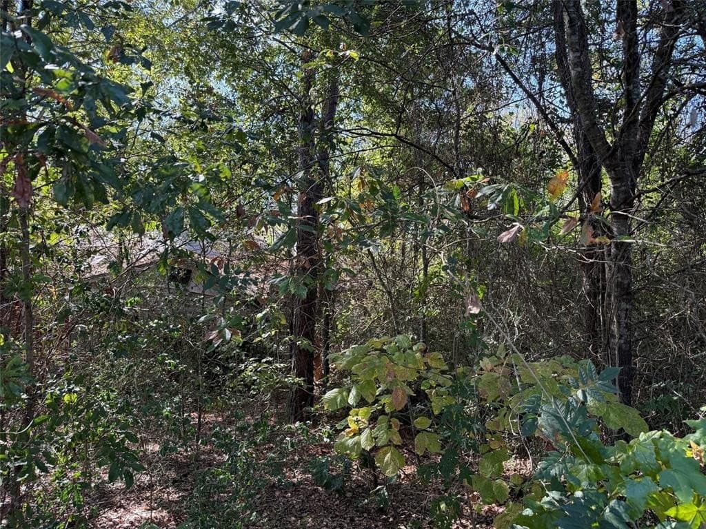 20.2 acres in Wood County - photo 8