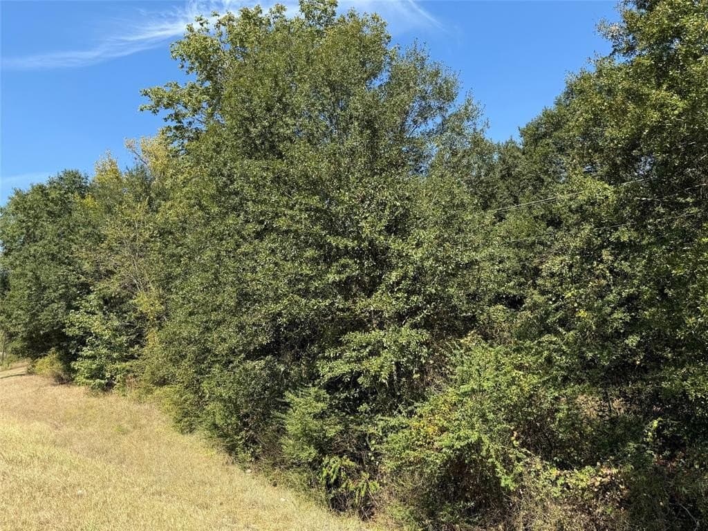 20.2 acres in Wood County - photo 3