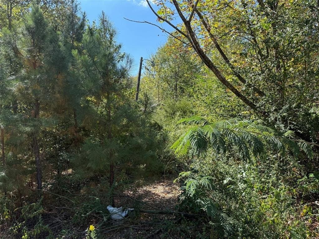20.2 acres in Wood County - photo 6