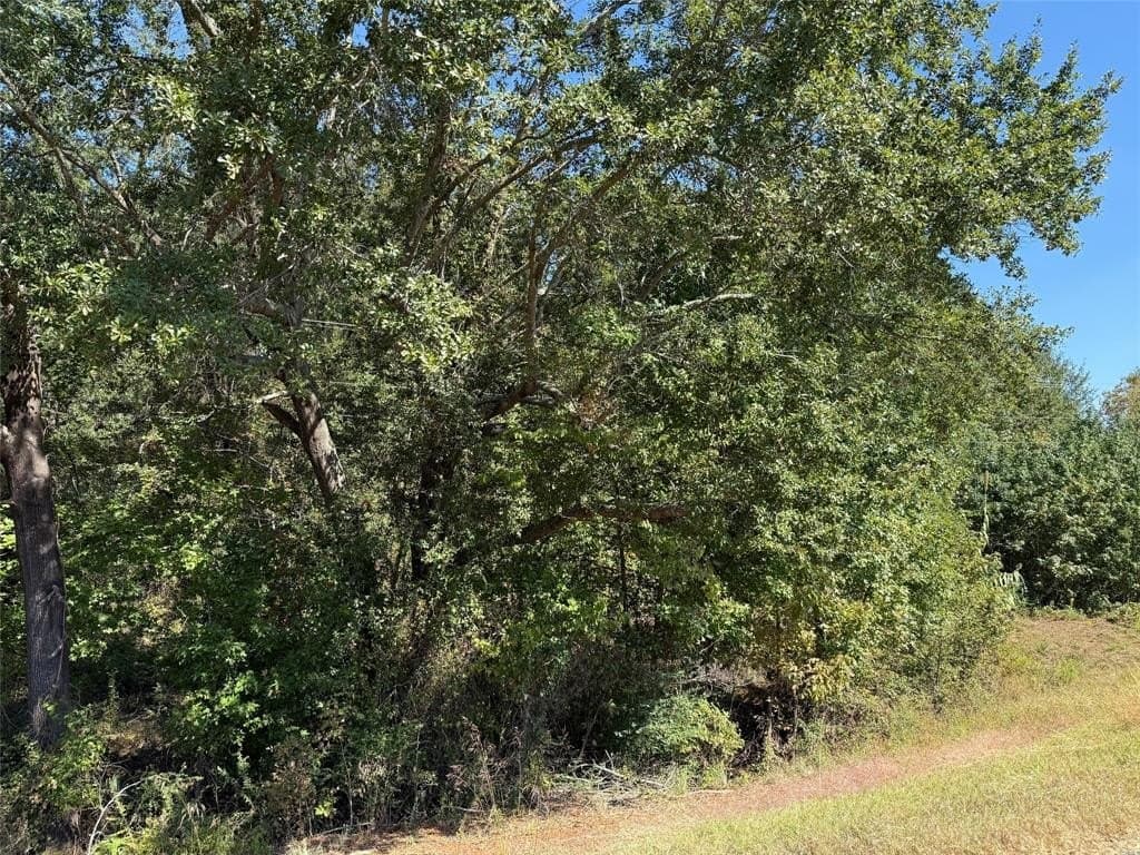 20.2 acres in Wood County - photo 5