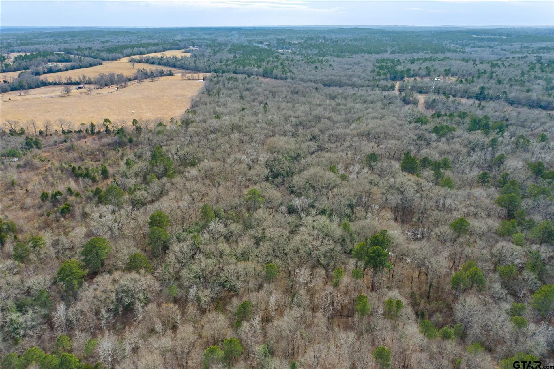 13.3 acres in Van Zandt County - photo 12