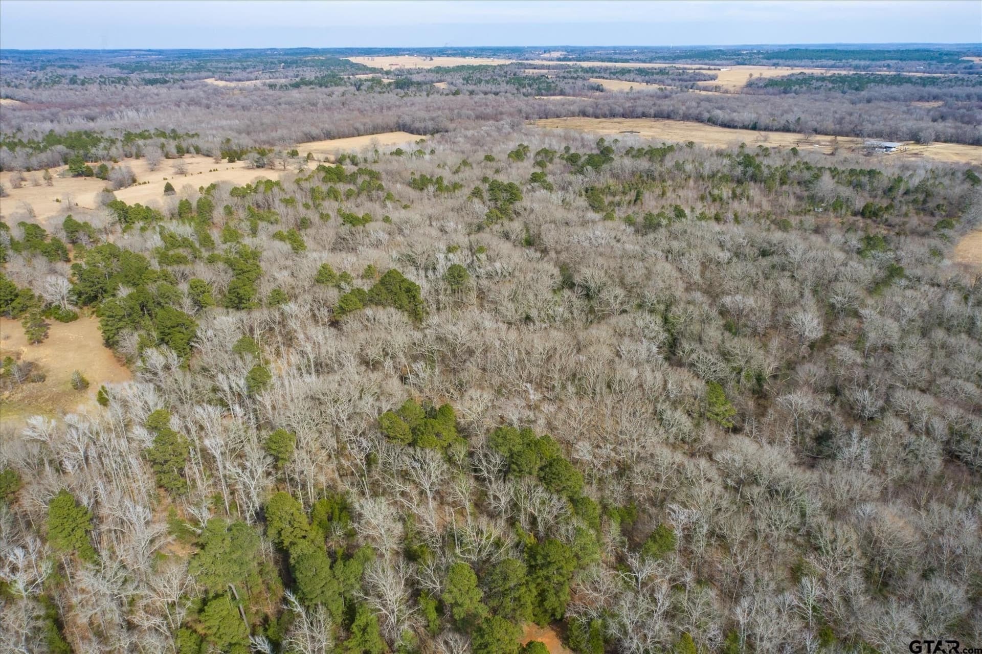 13.3 acres in Van Zandt County - photo 3
