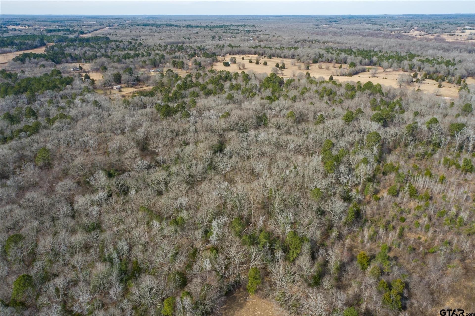 13.3 acres in Van Zandt County - photo 5