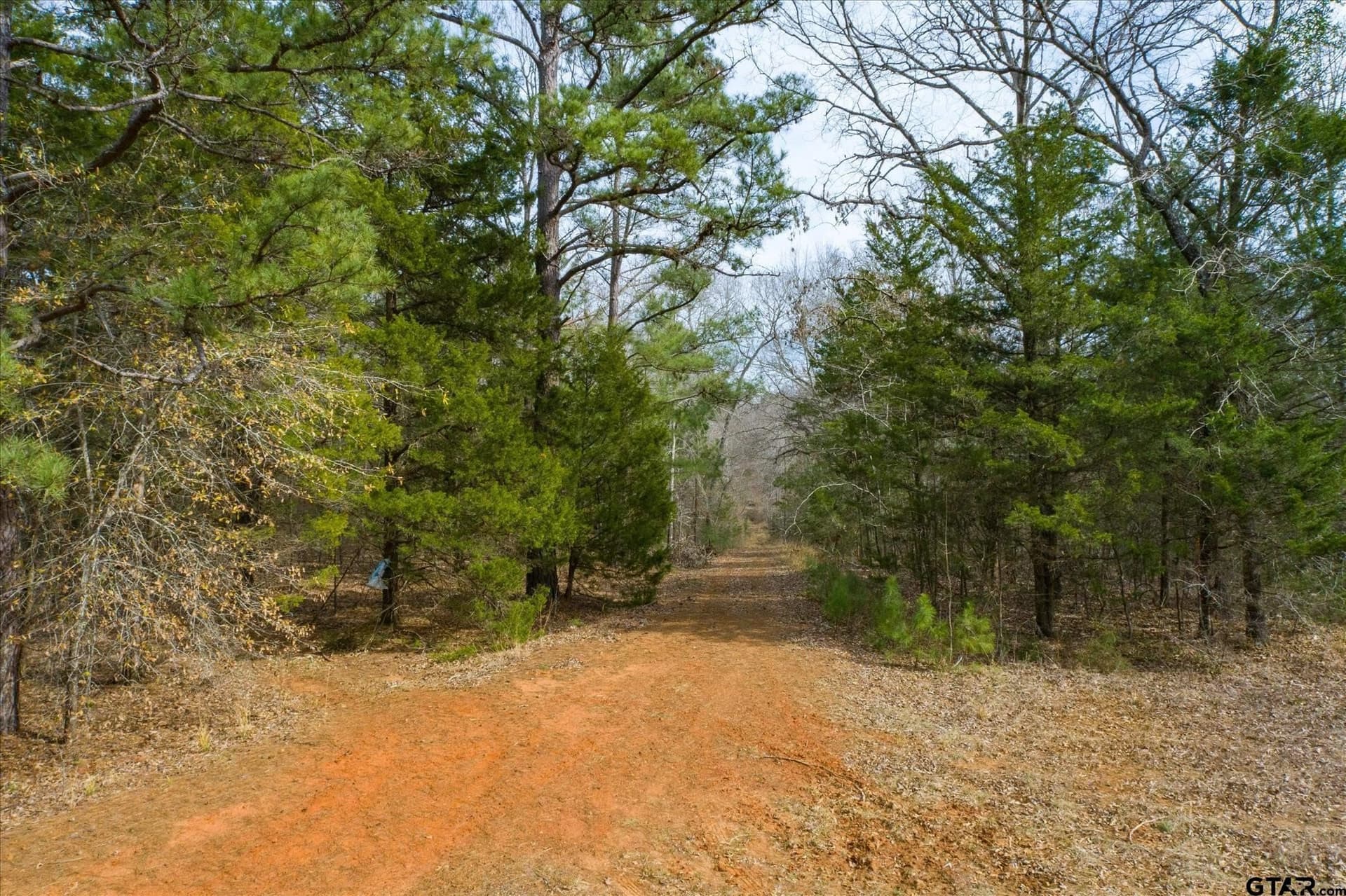 13.3 acres in Van Zandt County - photo 2