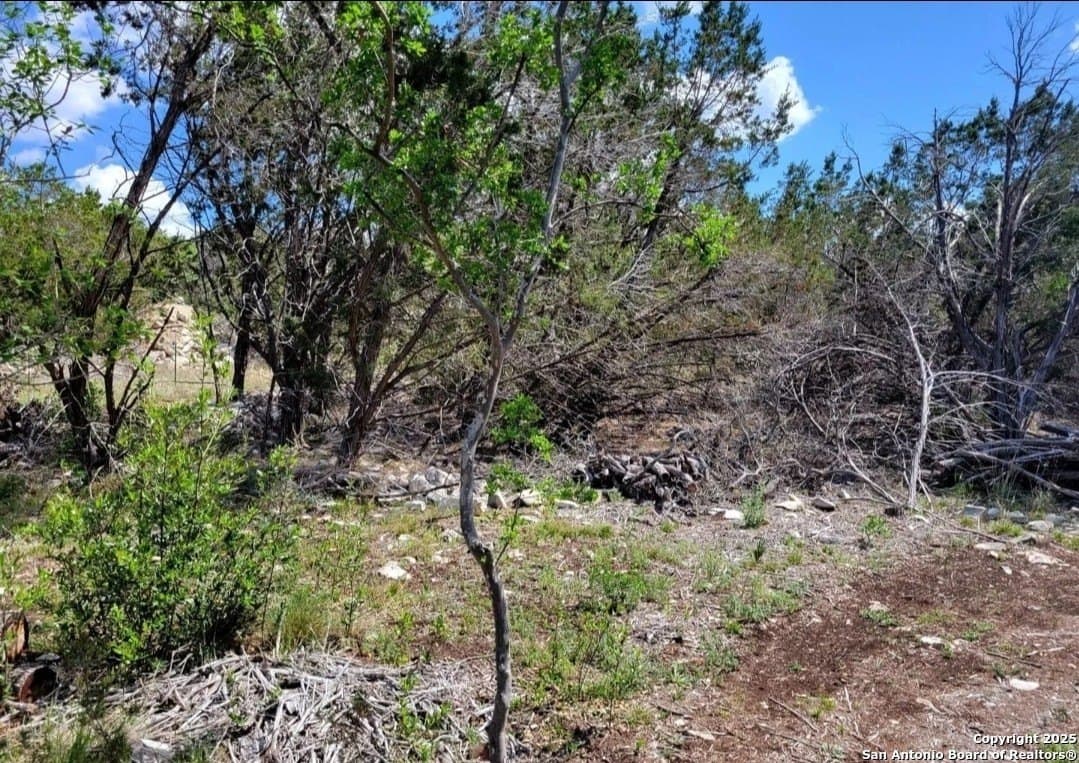 2.57 acres in Medina County - photo 2