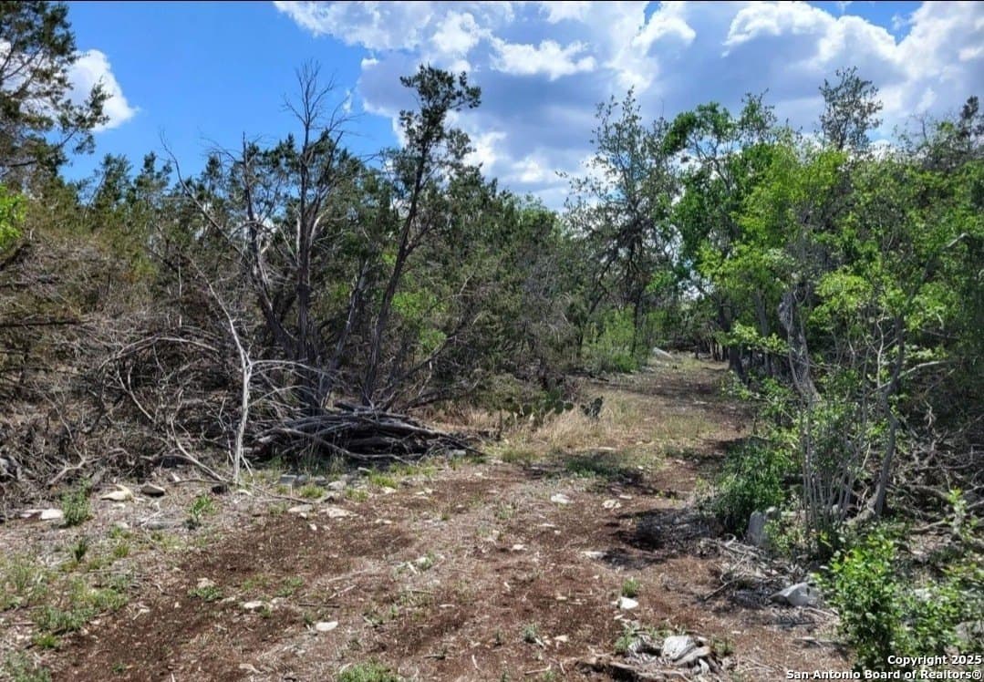 2.57 acres in Medina County - photo 3