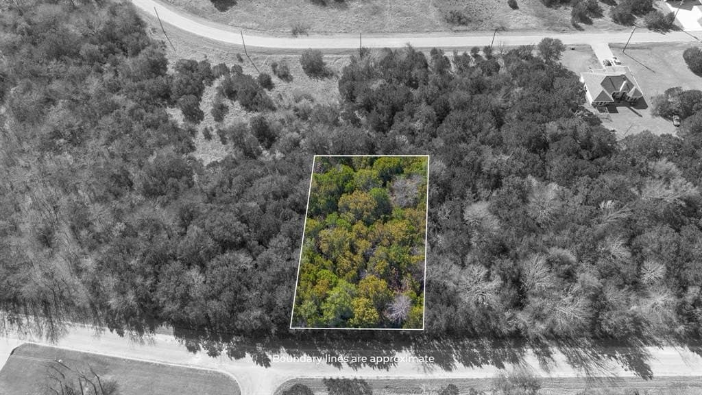 0.33 acres in Hill County - photo 2