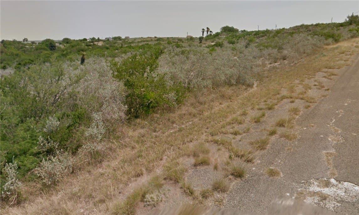 0.49 acres in Live Oak County - photo 3