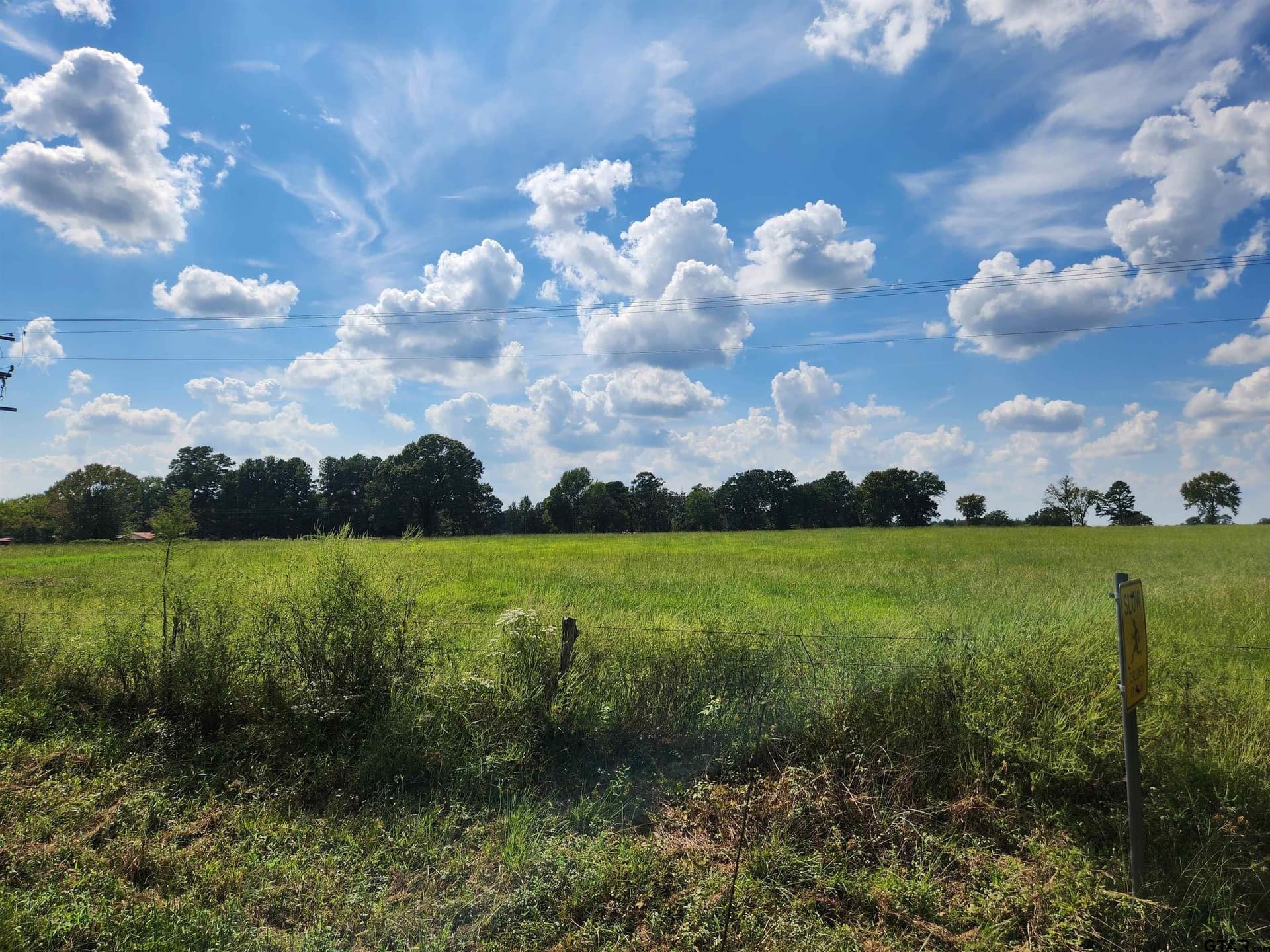 15 acres in Titus County - photo 2