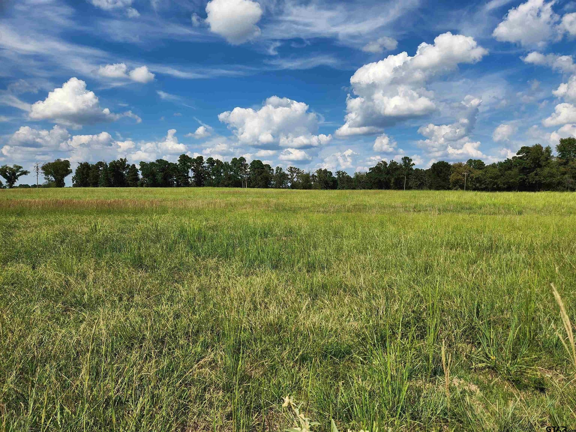 15 acres in Titus County - photo 5