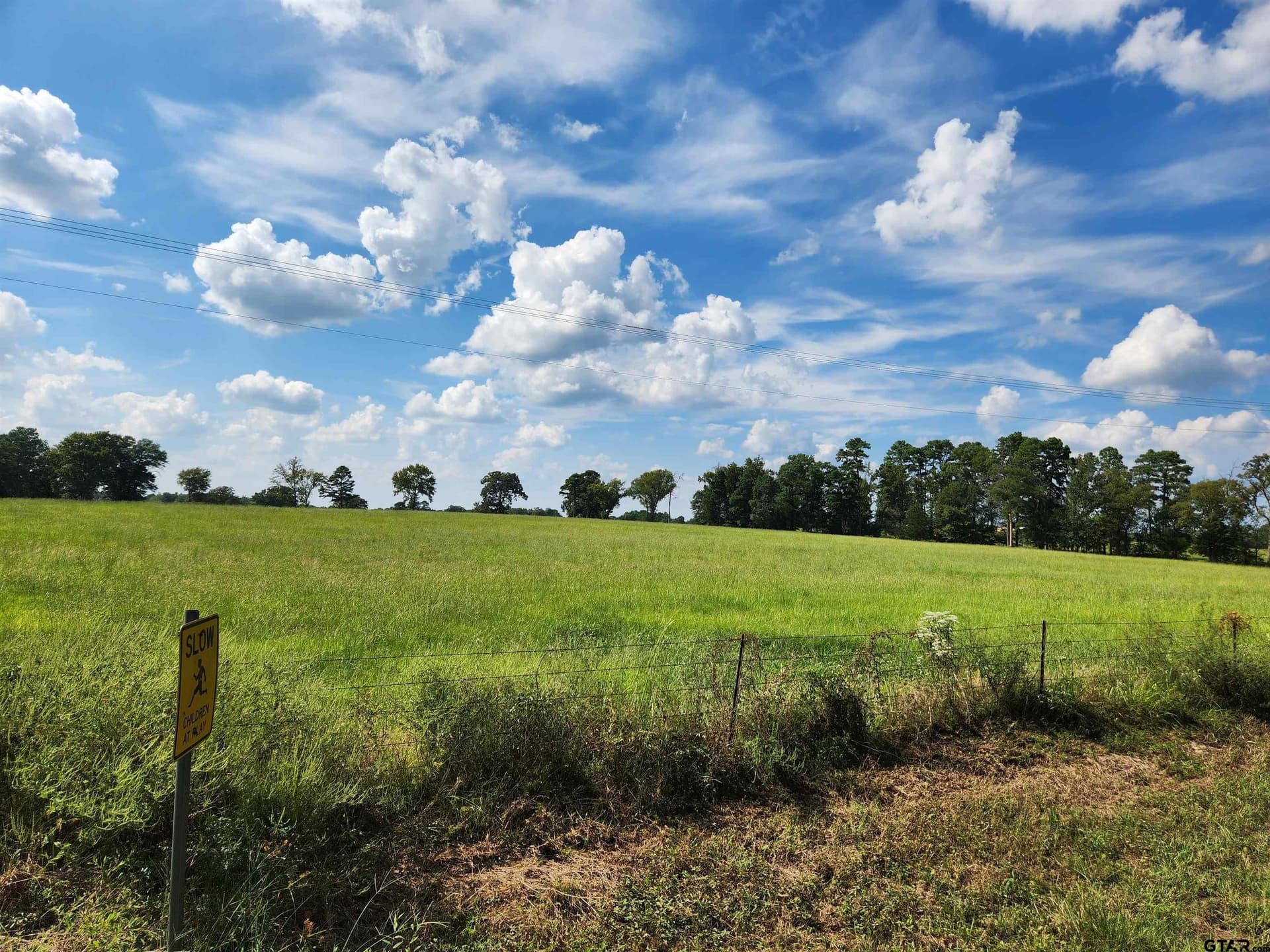 15 acres in Titus County - photo 3