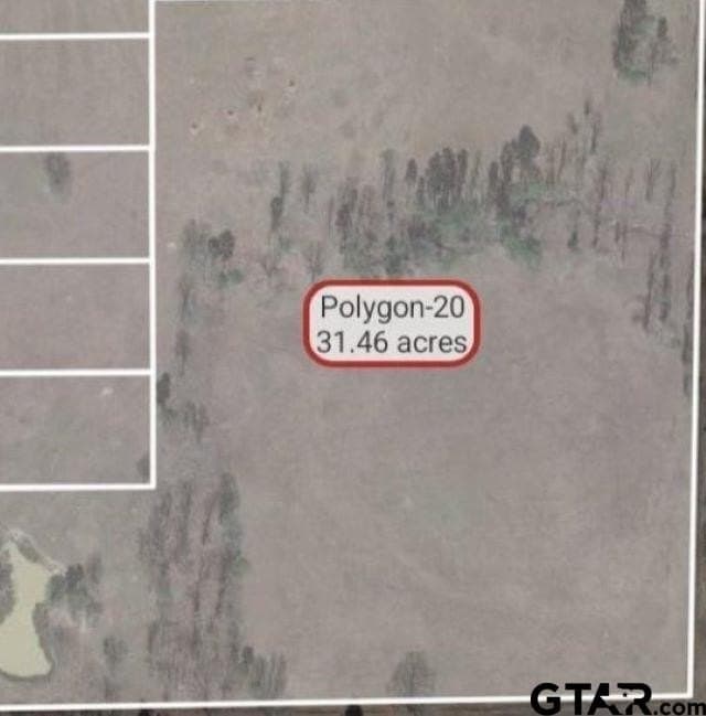 15 acres in Titus County - photo 6