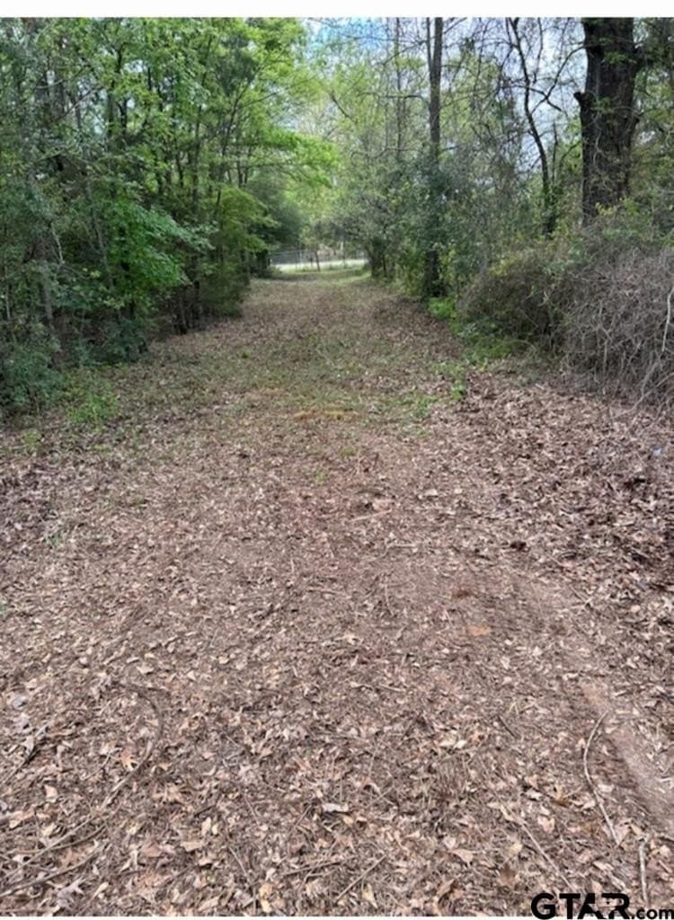 73.51 acres in Anderson County - photo 14