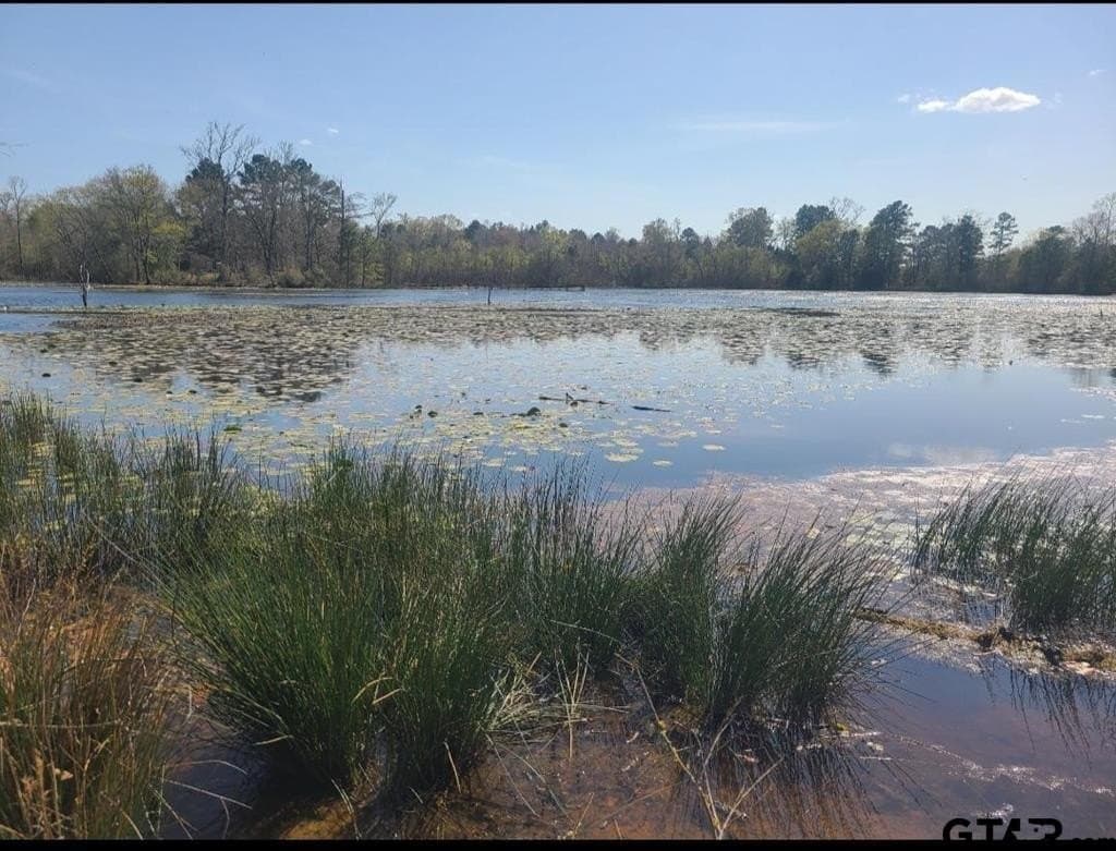73.51 acres in Anderson County - photo 25