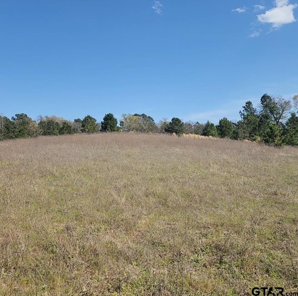 73.51 acres in Anderson County - photo 19