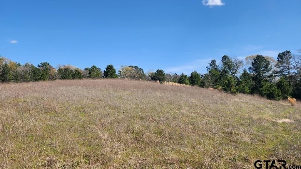 73.51 acres in Anderson County - photo 4