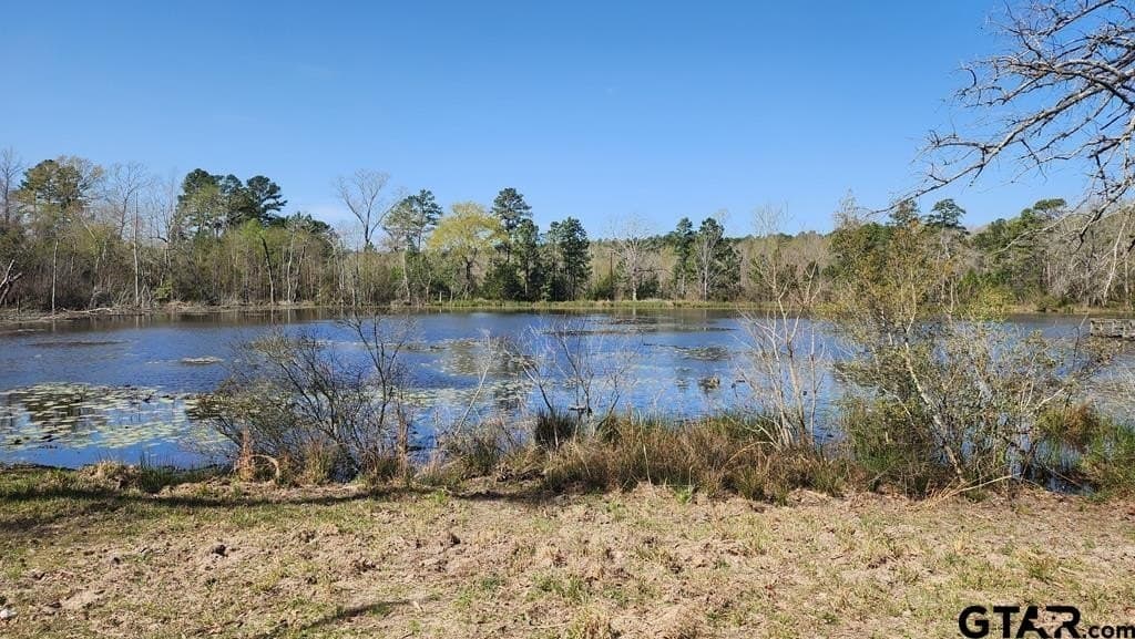 73.51 acres in Anderson County - photo 24