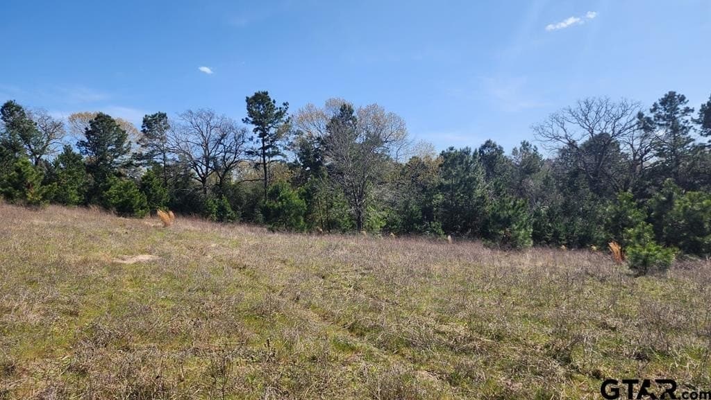 73.51 acres in Anderson County - photo 20