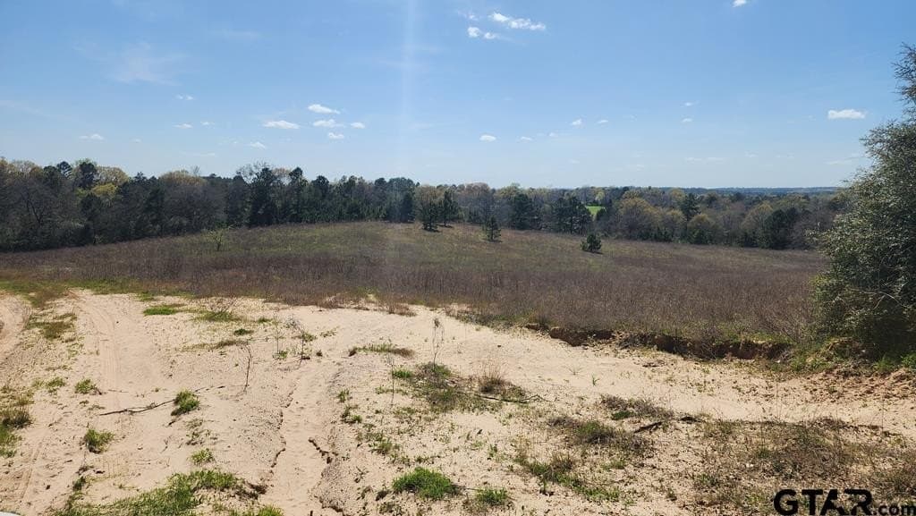 73.51 acres in Anderson County - photo 9