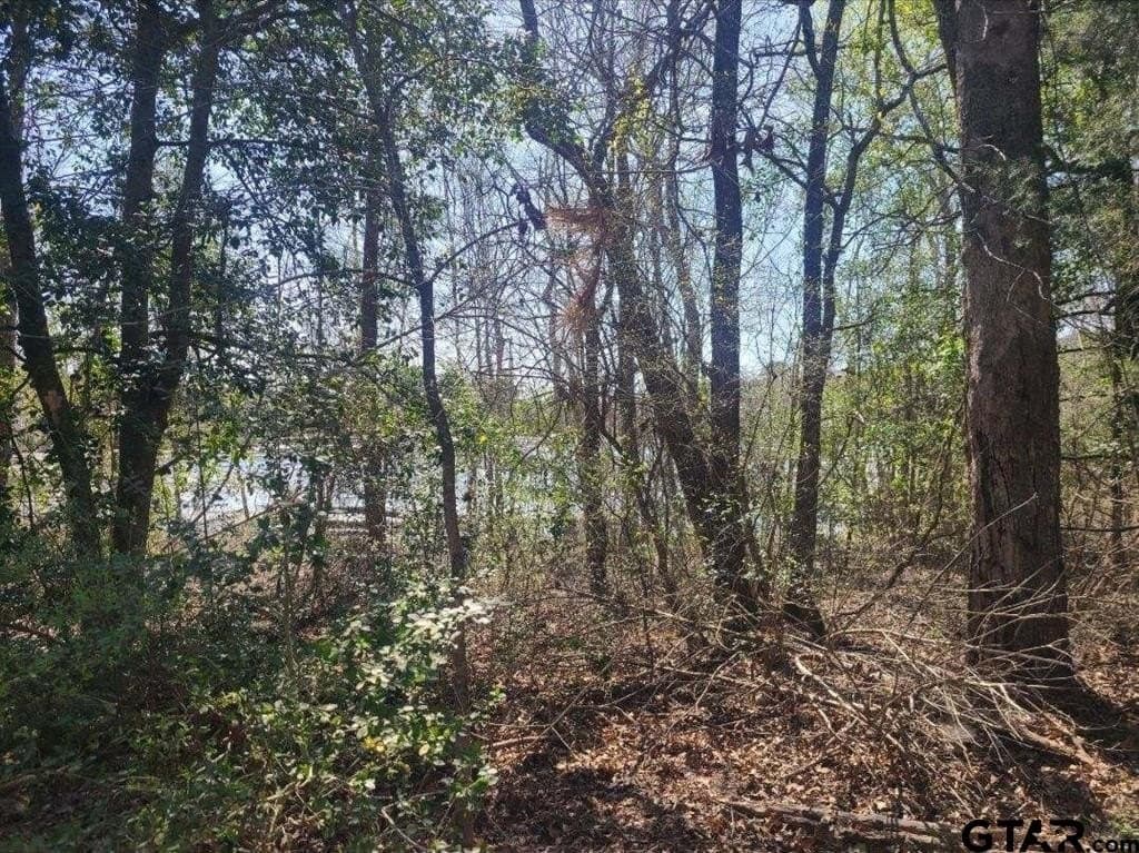 73.51 acres in Anderson County - photo 15