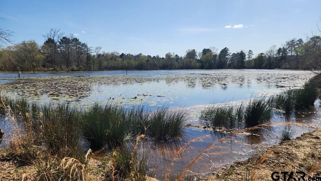 73.51 acres in Anderson County - photo 27